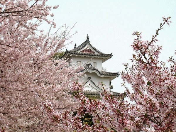 Våren i Tokyo. pussel på nätet