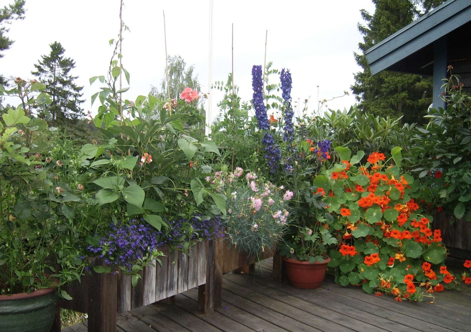 Terrasse en fleurs puzzle en ligne