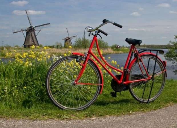 Холандски пейзаж. онлайн пъзел