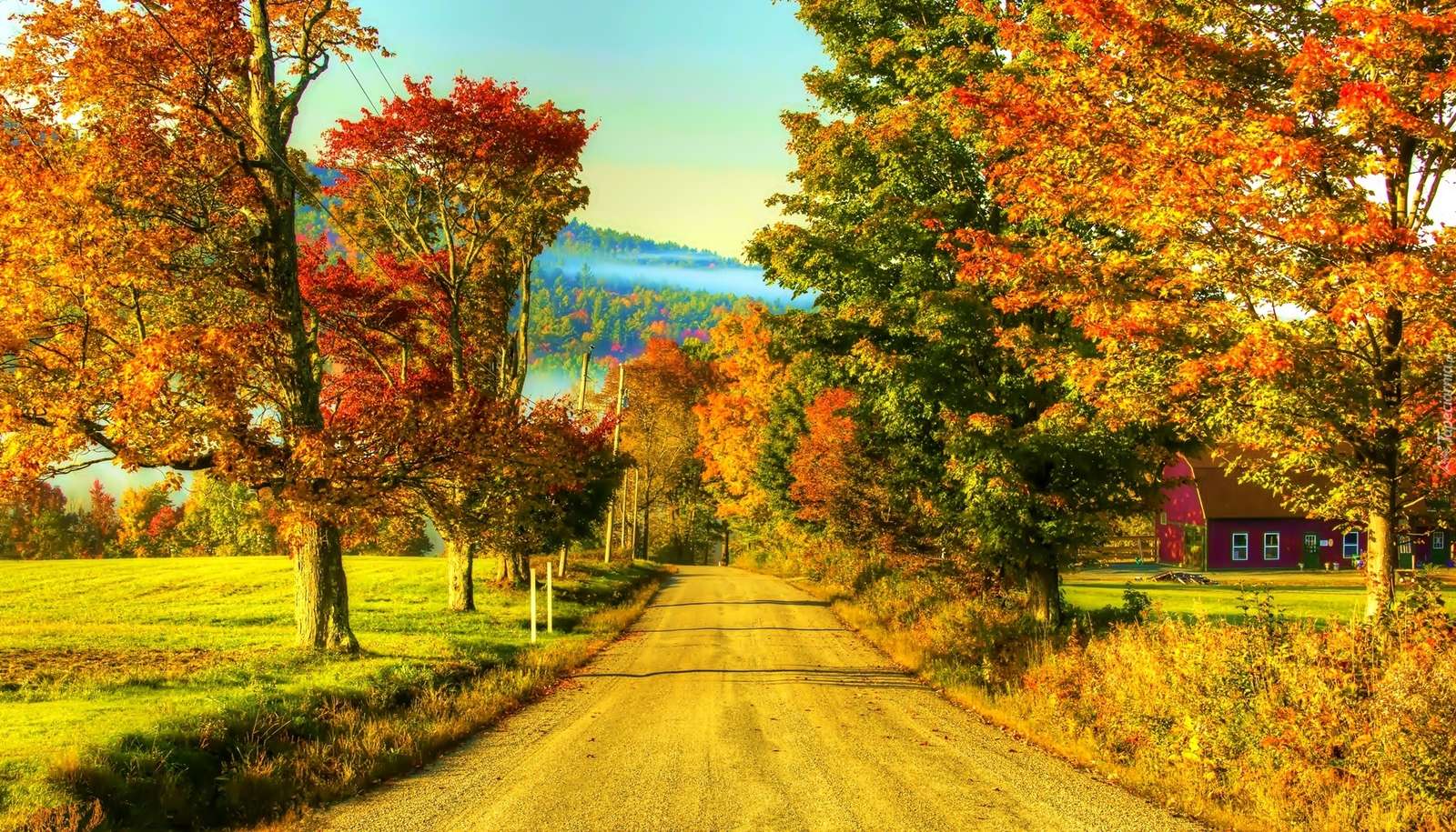 Herbststraße in Kanada. Online-Puzzle