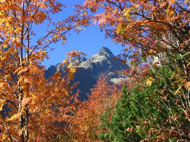 Herbst in den Bergen. Online-Puzzle