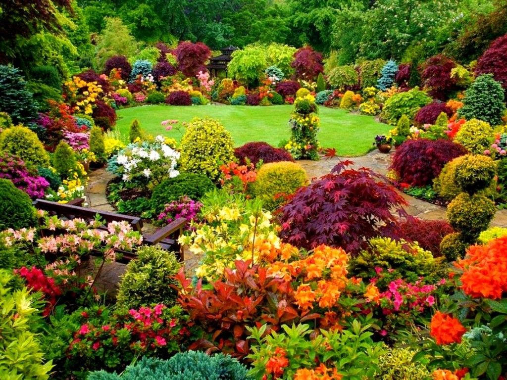 Σε έναν πολύχρωμο κήπο. παζλ online