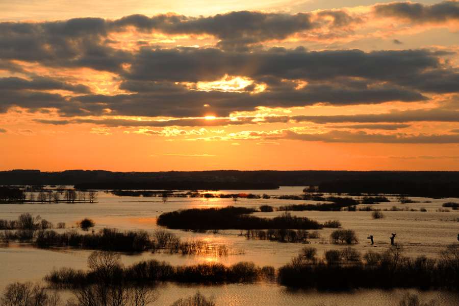 Le alluvioni del fiume Narew puzzle online