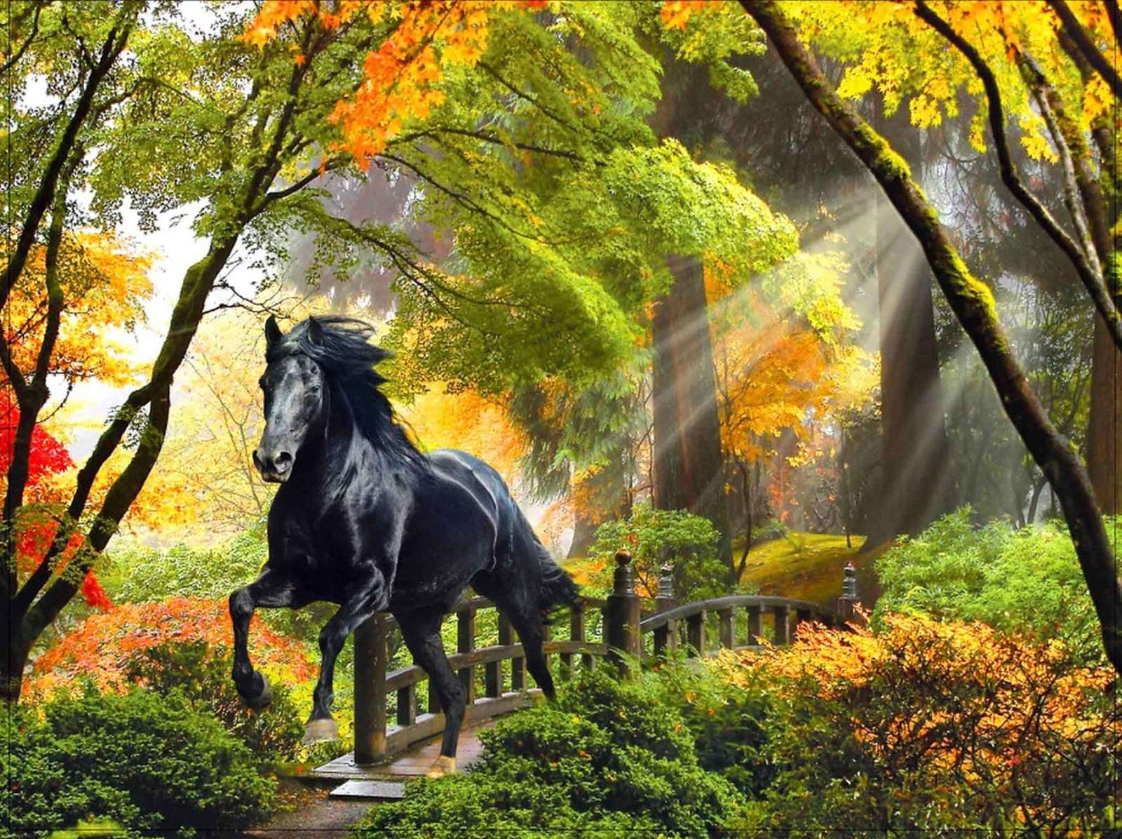 In the forest in the morning. jigsaw puzzle online