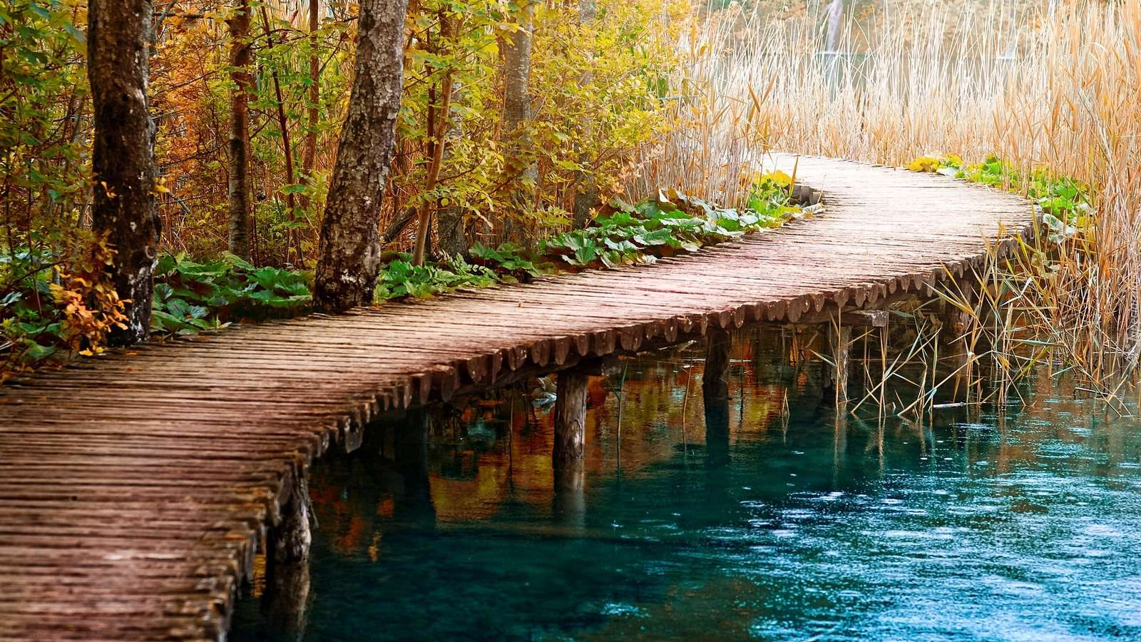 Footbridge at the lake. online puzzle