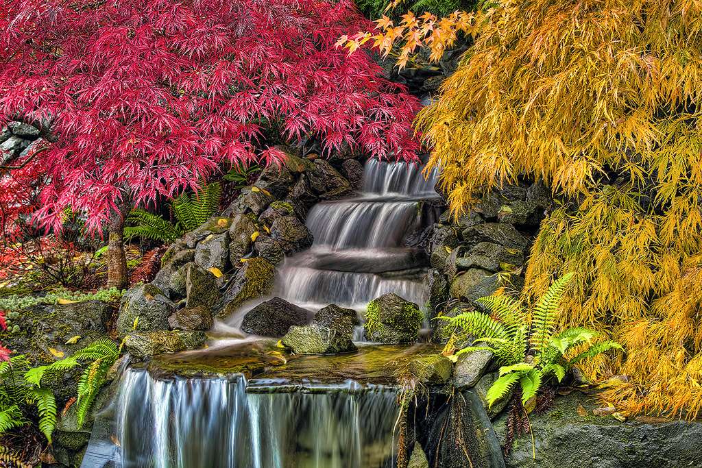 Herbstlicher Wasserfall. Puzzlespiel online
