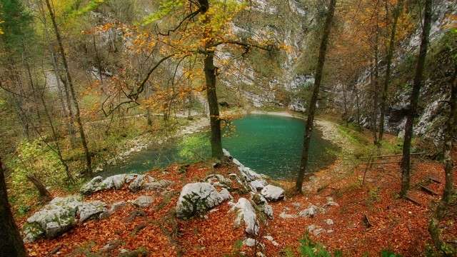 Едно малко езеро в гората. онлайн пъзел