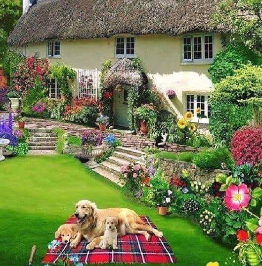 A beautiful house with a garde jigsaw puzzle online