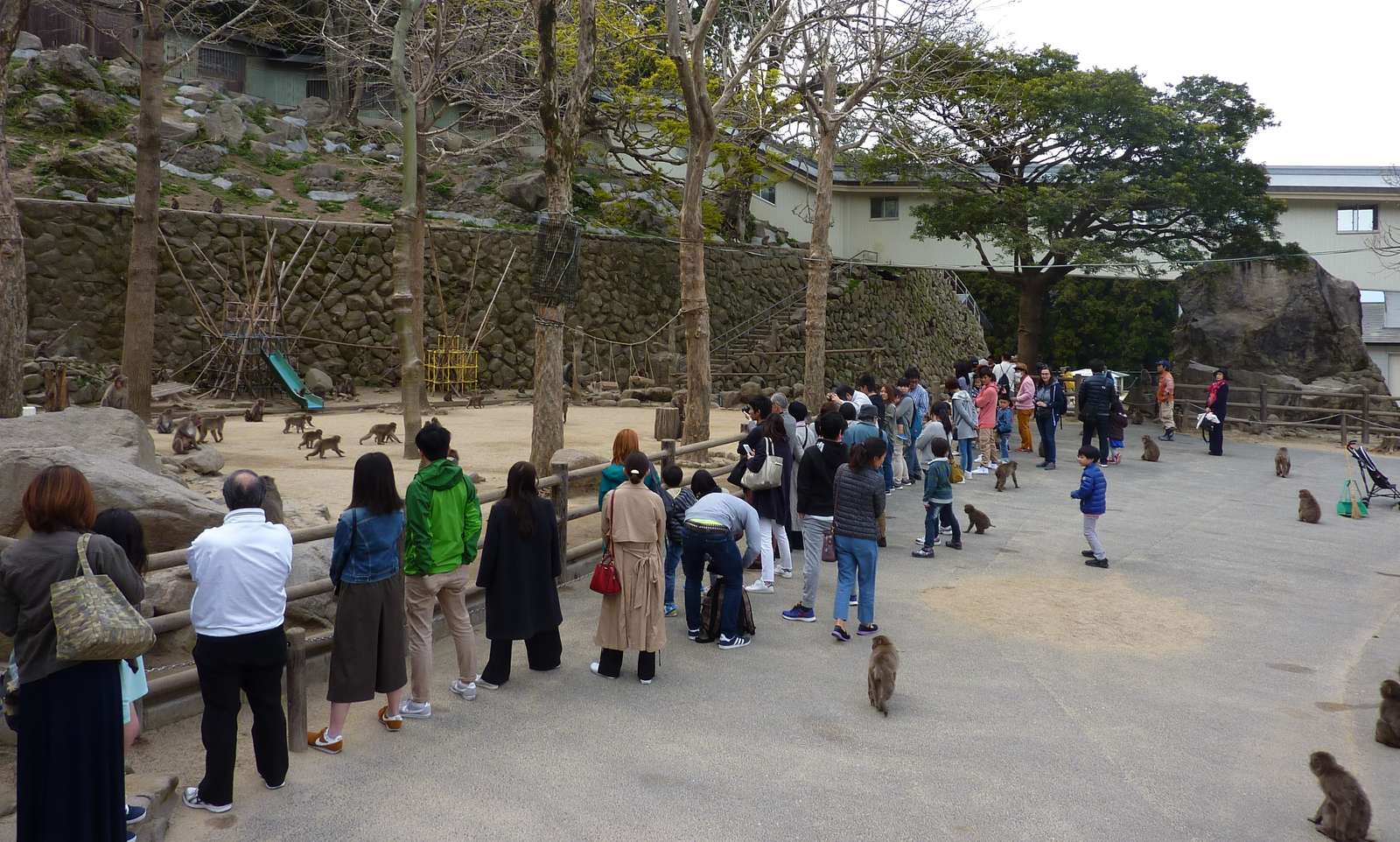 Хората в зоопарка онлайн пъзел