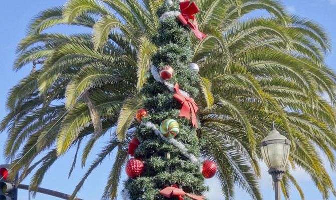 Jul under palmträdet. pussel på nätet