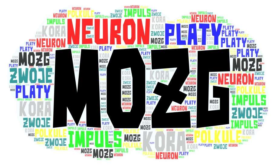 Gehirn mit Puzzlefabrik Online-Puzzle