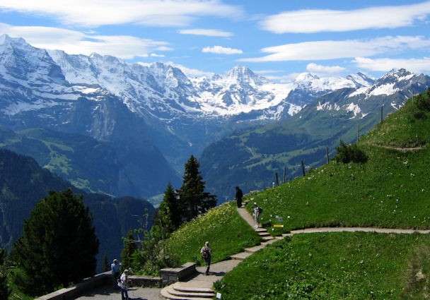 Bernese Alperna. pussel på nätet