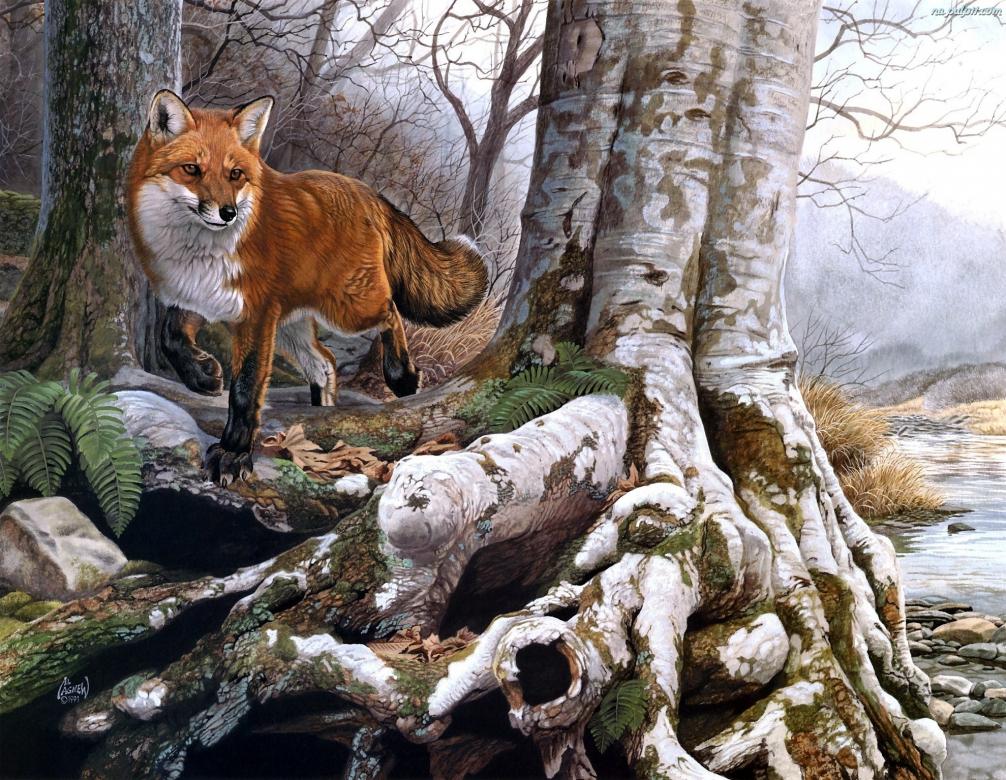 Червена лисица в гората. онлайн пъзел
