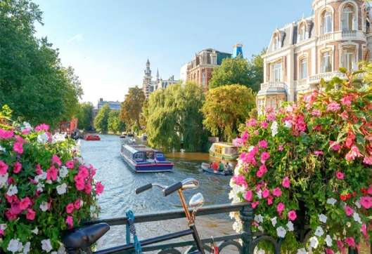 Цветы Амстердама. онлайн-пазл