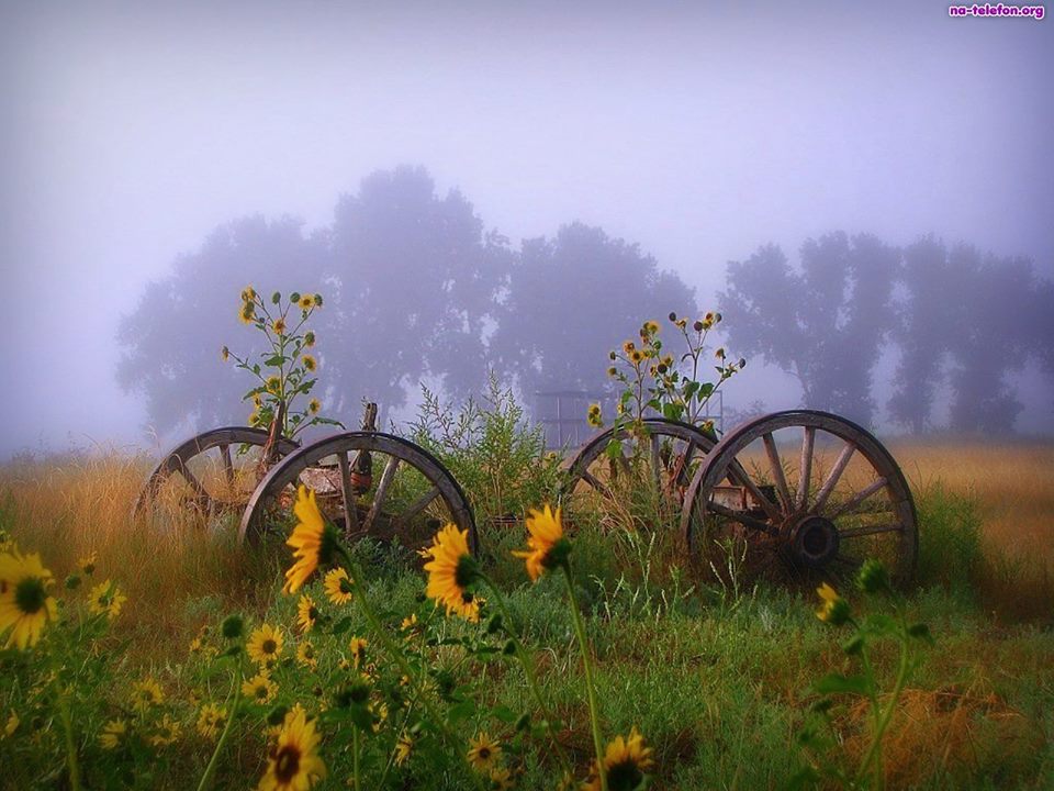 Fog over the fields. jigsaw puzzle online