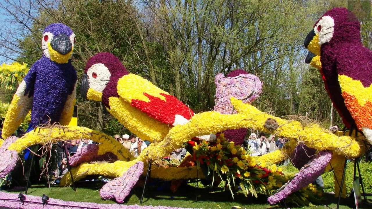 Festival de flori în Olanda. jigsaw puzzle online