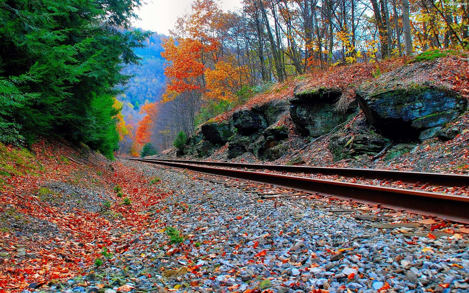 Színes őszi színek. kirakós online