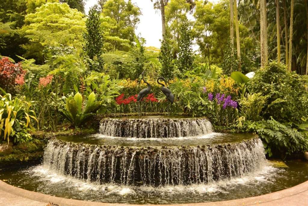 Singapurská botanická zahrada online puzzle