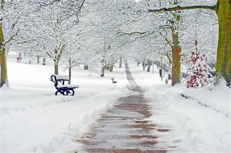 Winter in het park. legpuzzel online