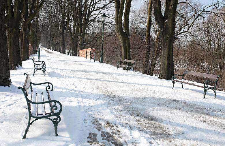 Сувора зима в Кракові онлайн пазл