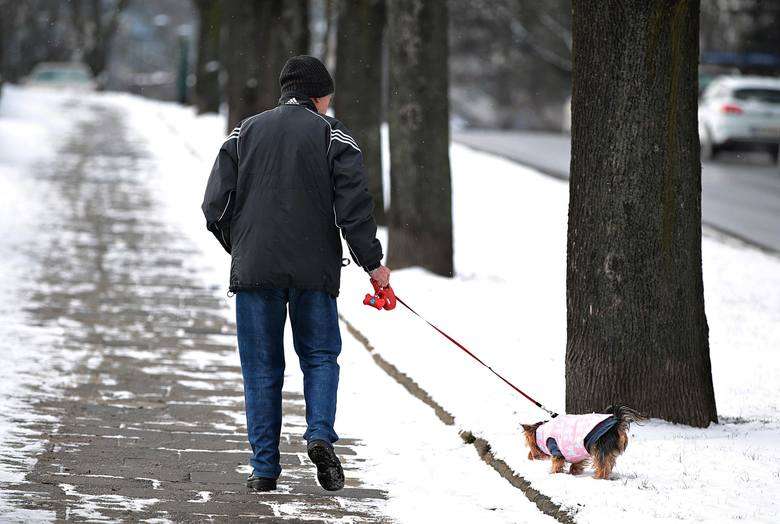 Суровая зима в Кракове онлайн-пазл
