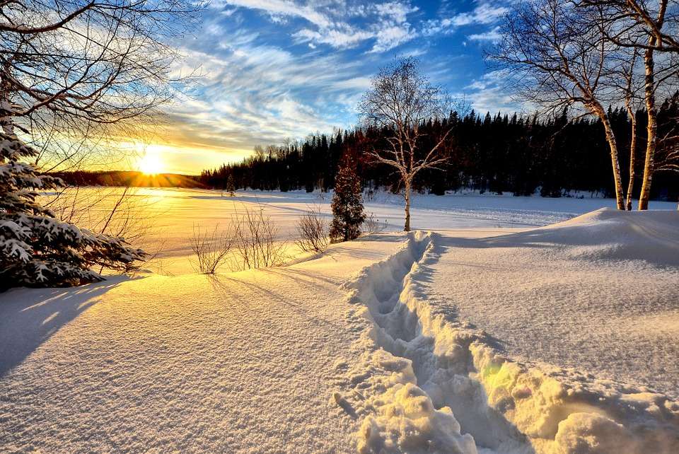 Зимен пейзаж. онлайн пъзел