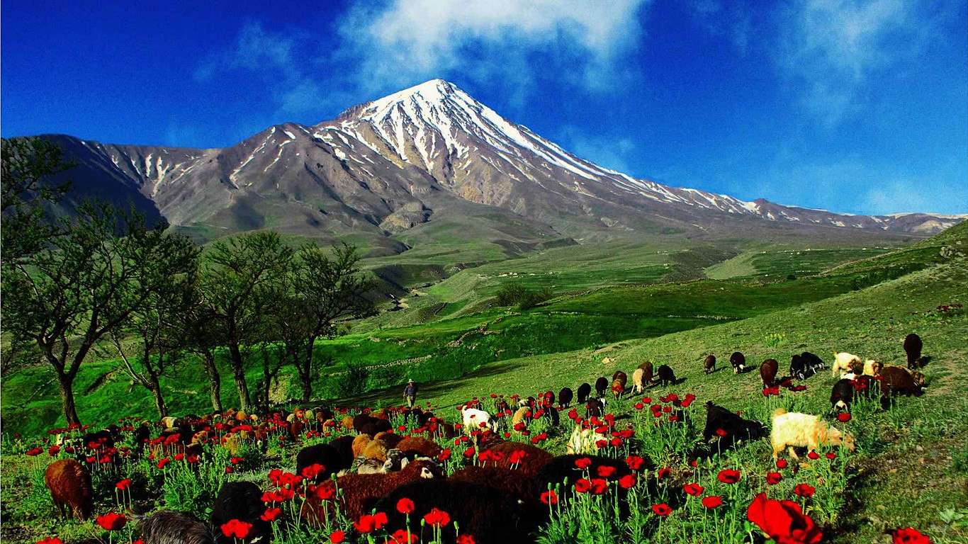 Pohled na horu Ararat. online puzzle
