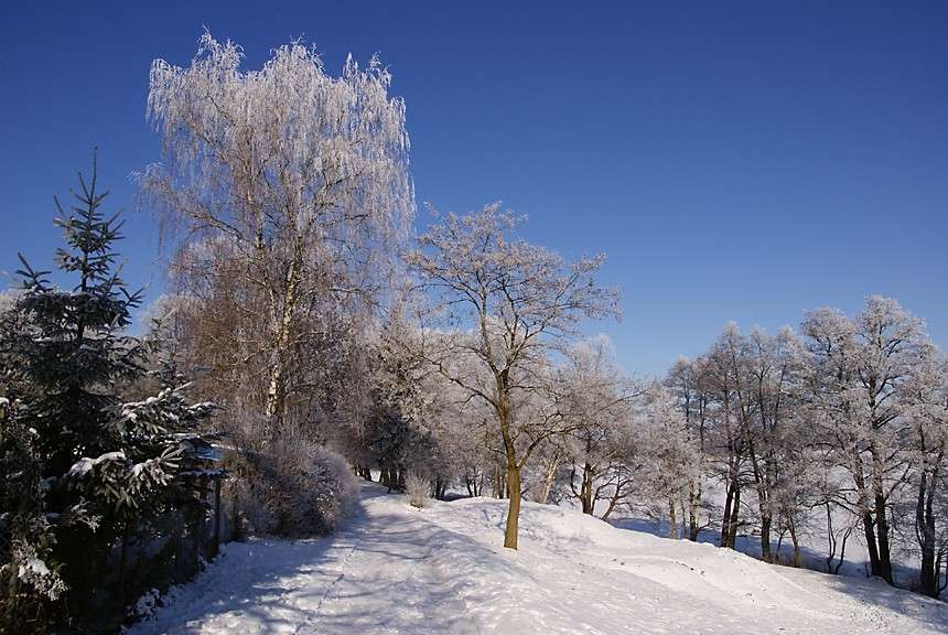 Winter in het Drawskie Lake District online puzzel