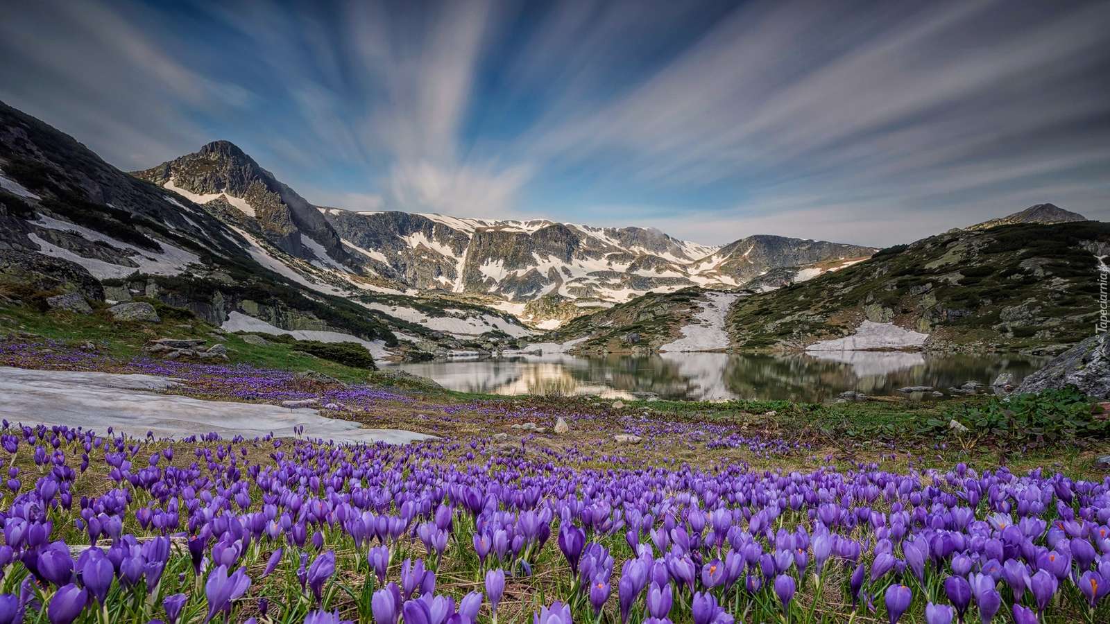 Crocuses over a mountain lake online puzzle
