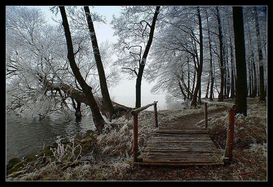 Χειμώνας στην περιοχή της λίμνης Drawskie online παζλ