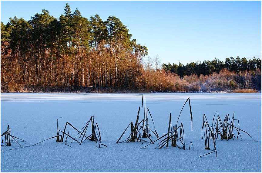 Зима в Дравских озерах онлайн-пазл