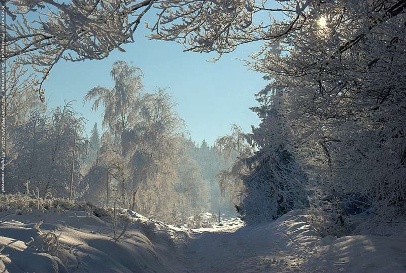 冬の風景。 ジグソーパズルオンライン