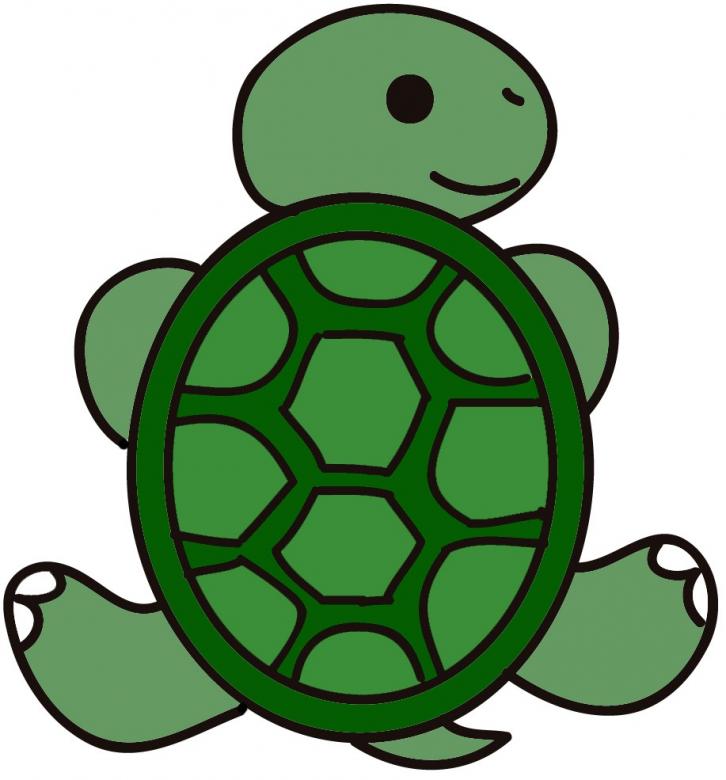 черепаха 123 онлайн пазл