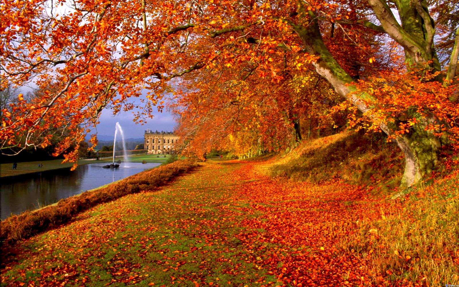 Осінній пейзаж. опадне листя, опадне листя онлайн пазл