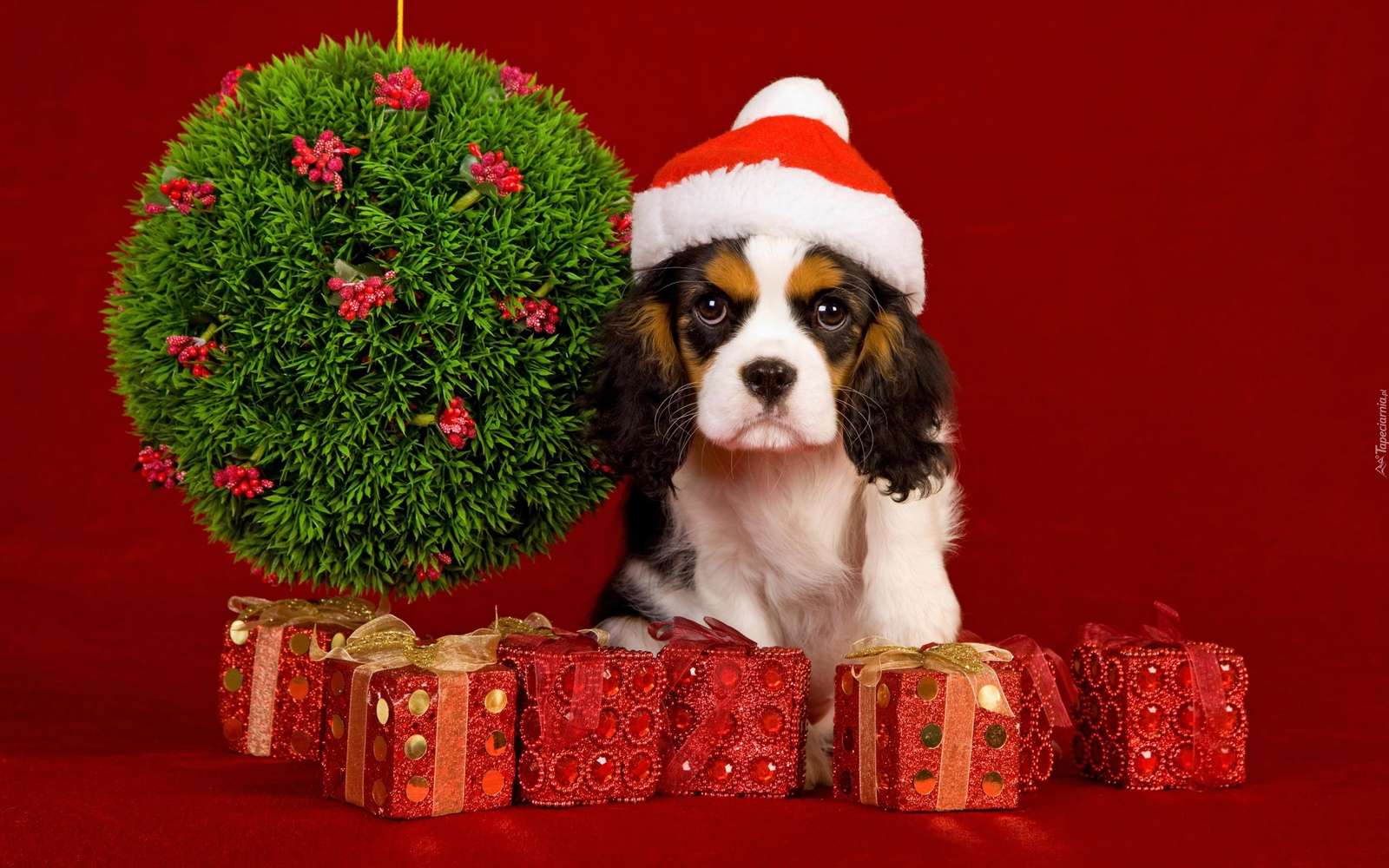 Kerst hond online puzzel