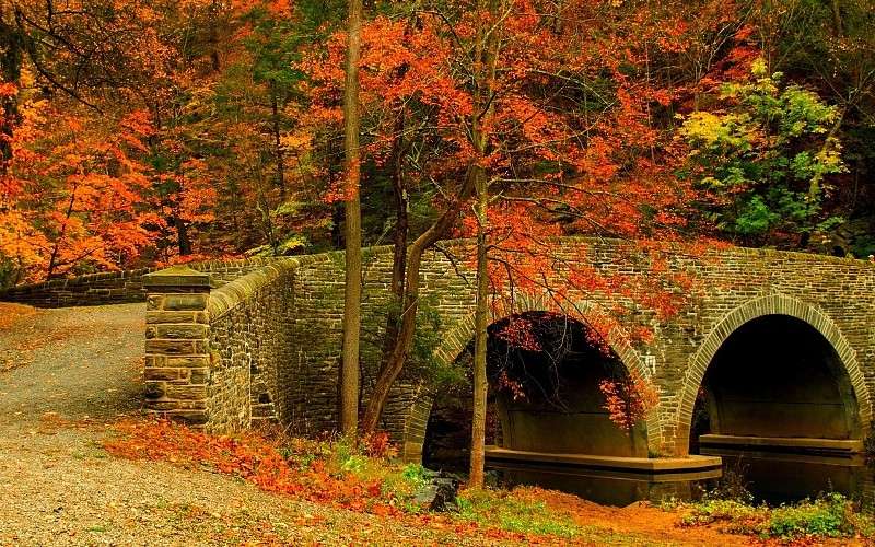 Autumnal landscape. jigsaw puzzle online