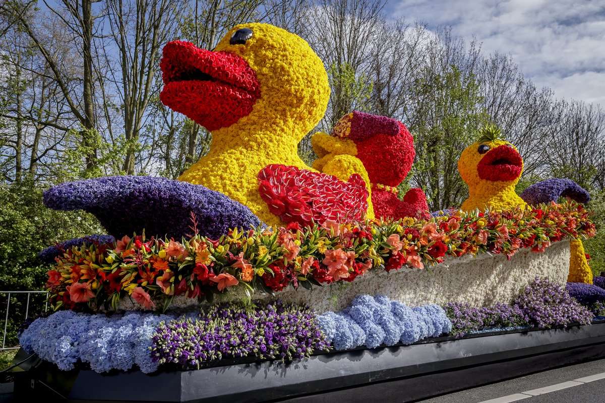 Blumenparade in den Niederland Online-Puzzle