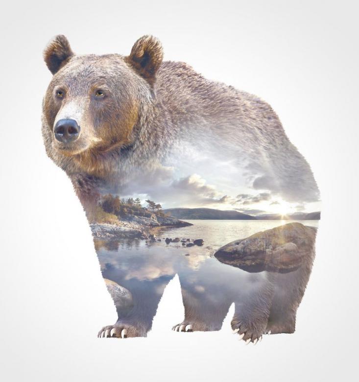 Uma paisagem com um urso. quebra-cabeças online