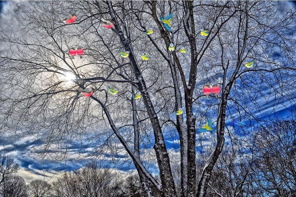 Ζωηρόχρωμα πουλιά στο δέντρο παζλ online