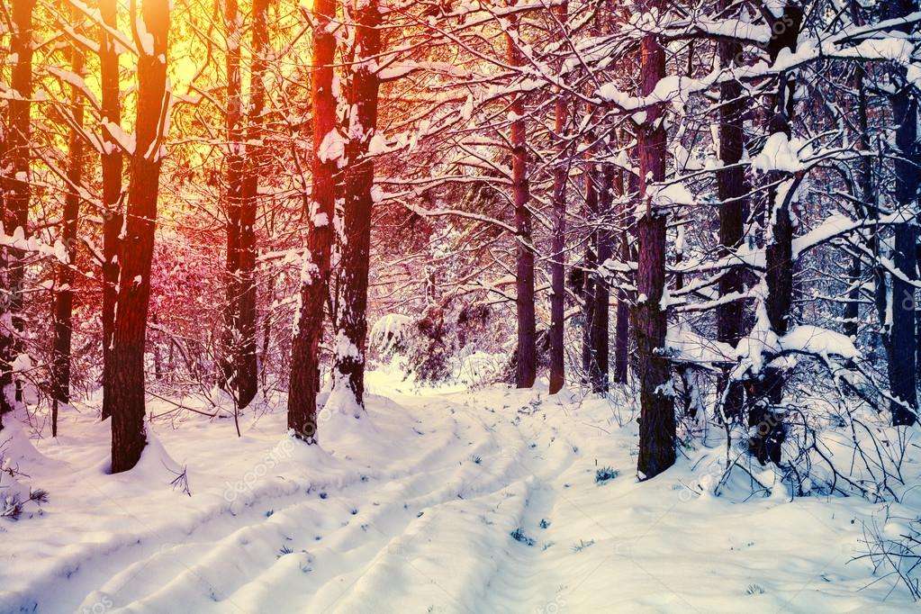 Зимний лес пазл онлайн