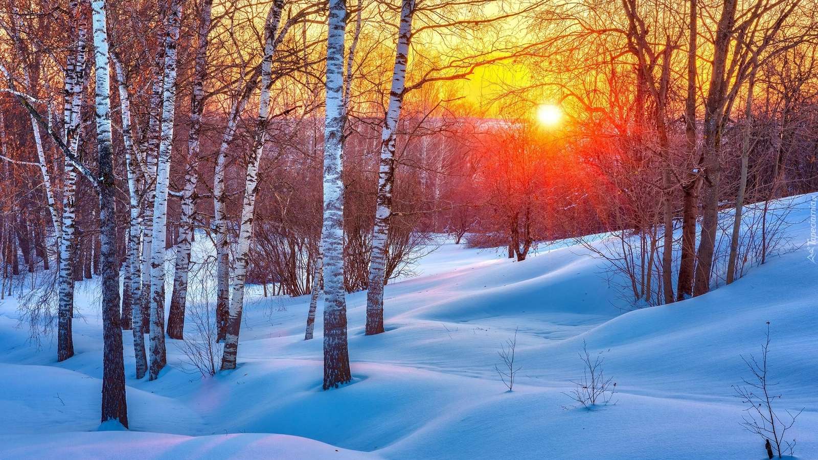Брезова гора през зимата онлайн пъзел