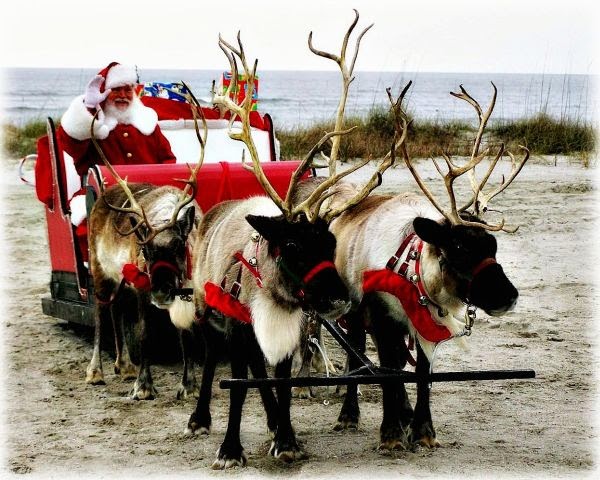 Reindeers of St. Nicholas. online puzzle