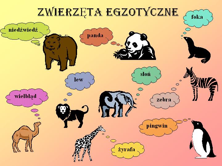 Exotická zvířata. online puzzle