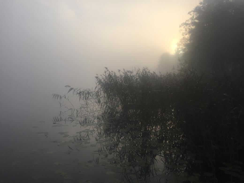 Brouillard du matin puzzle en ligne
