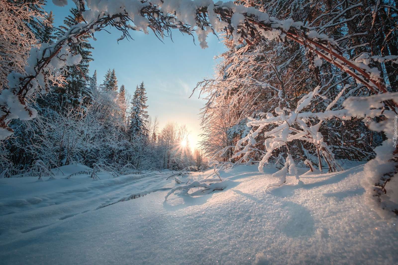 Vintern i Ural. pussel på nätet
