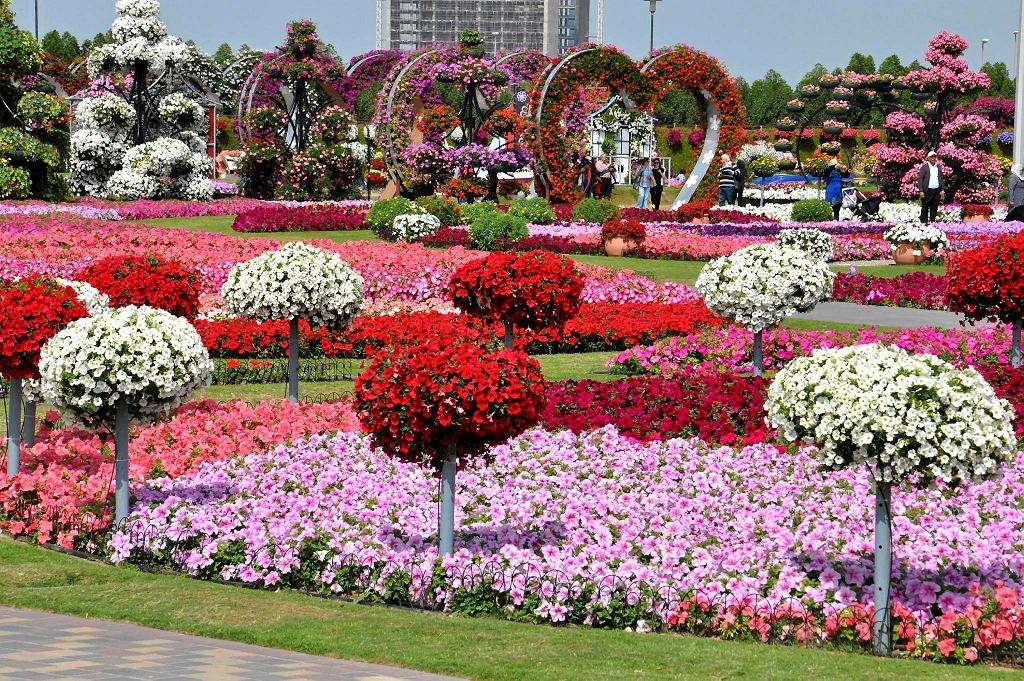 Dubai - flower garden online puzzle