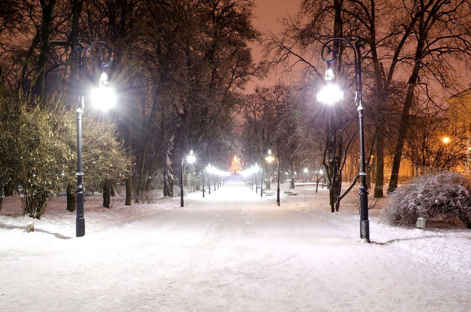 зимен парк през нощта онлайн пъзел