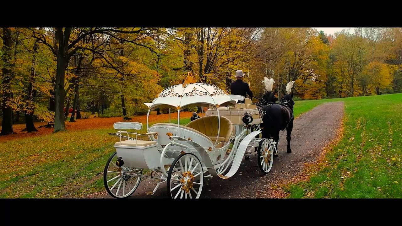 a carriage in the park jigsaw puzzle online