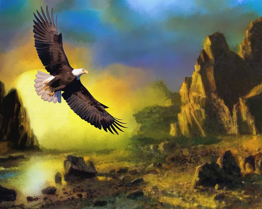 Eagle's flight. Pussel online