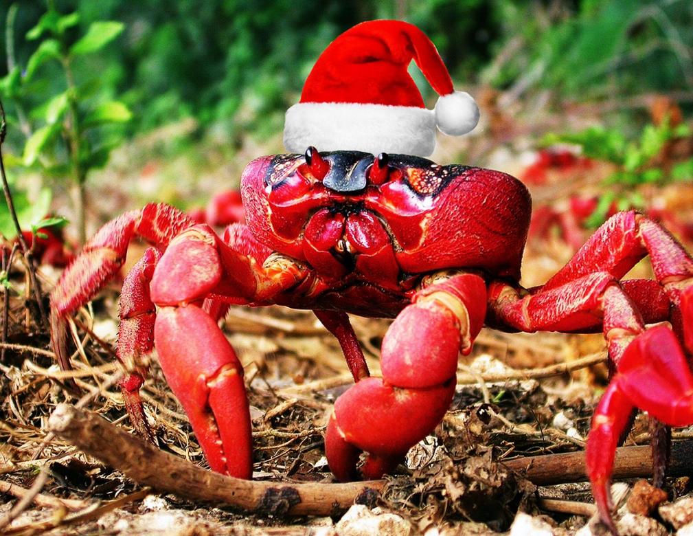 Red crab. jigsaw puzzle online